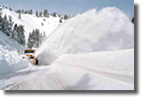 Snow Removal #202